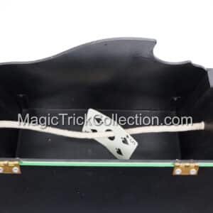 Hen Fetsch's Pandora Spirit Cabinet UF Grant