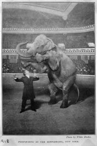 Harry Houdini famously performed at the Hippodrome Theatre in New York City, most notably making an elephant named Jennie disappear on stage in 1918