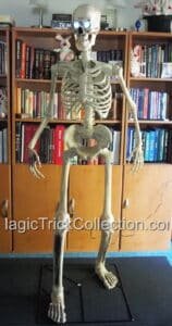 Spirit Halloween GRIM Animated Skeleton Available at MagicTrickCollection.com