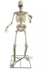 Spirit Halloween GRIM Animated Skeleton Available at MagicTrickCollection.com