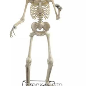 Spirit Halloween GRIM Animated Skeleton Available at MagicTrickCollection.com