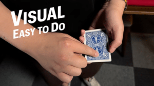 LINER by Bond Lee, Alexander Stefanus & MS Magic