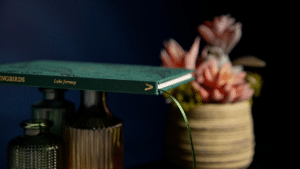 The Hummingbirds by Luke Jermay