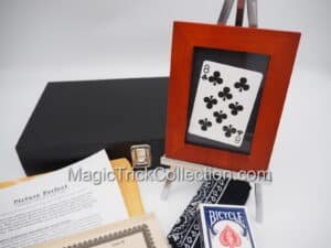 Picture Perfect by Gene Voshell - Handcrafted Deluxe Edition, Number 8 of 12 Made
