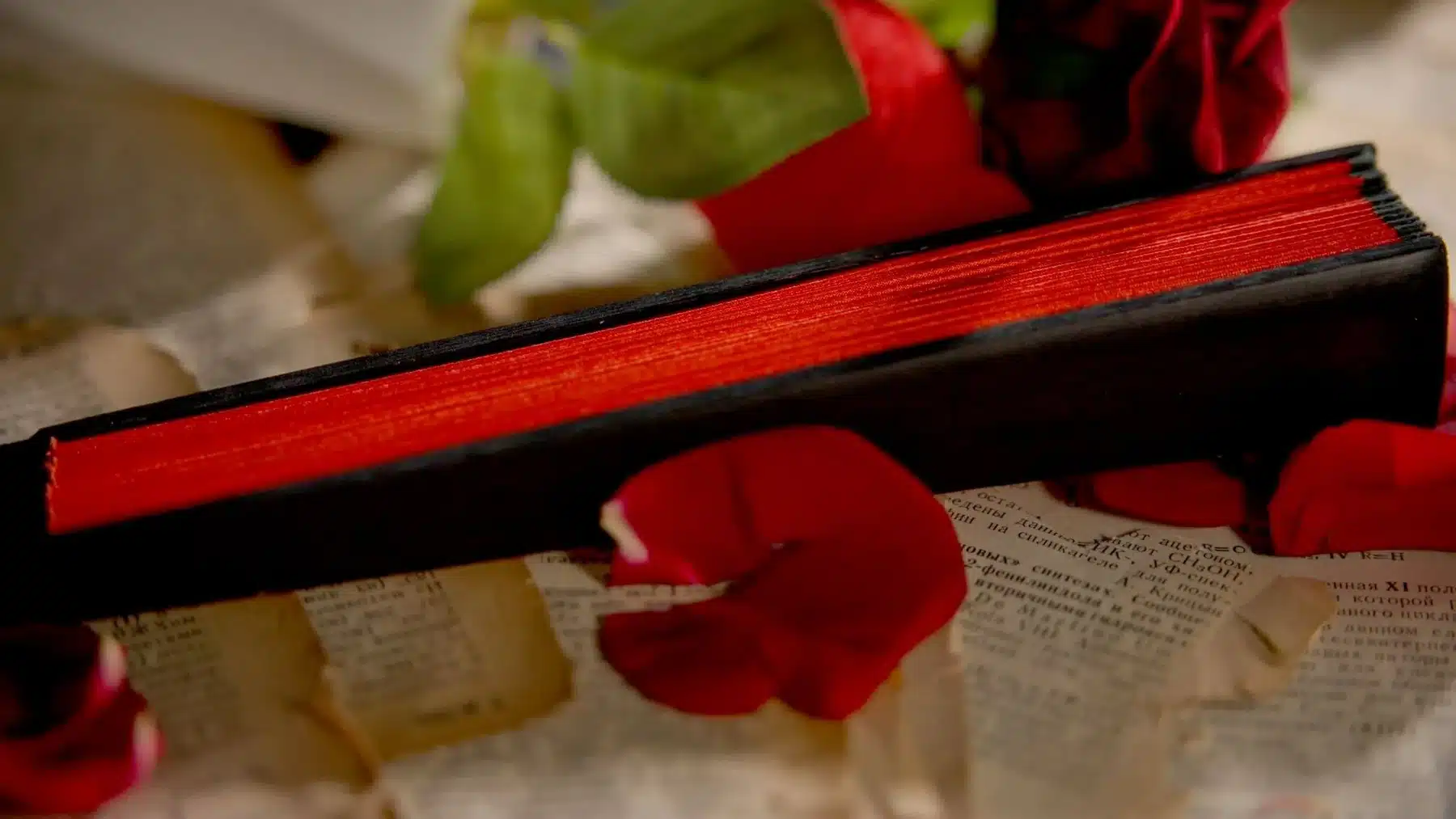 The Butterfly by TCC Magic